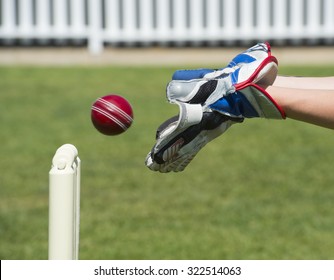 Wicket Keeper Catches Cricket Ball