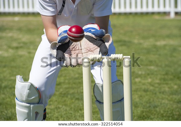 Wicket keeper catches cricket\
ball