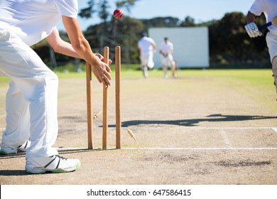 Wicket keeper hitting stumps during match on sunny day - Powered by Shutterstock