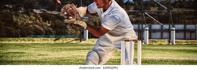 Wicketkeeper catching cricket ball behind stumps during sunny day - Powered by Shutterstock