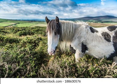 Wicklow Mountains