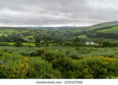 Wicklow Way Landscape In A Cloudy Day, Tipical Irish Lanscape, County Wicklow, Ireland.