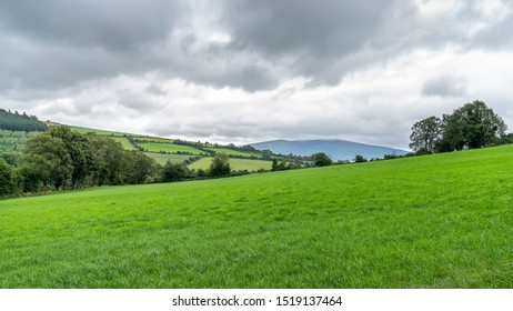 Wicklow Way Landscape In A Cloudy Day, Tipical Irish Lanscape, County Wicklow, Ireland.