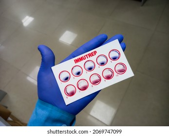 Widal Test By Agglutination Method At Plate Isolated On White Background, To Diagnosis Typhoid And Paratyphoid Fever At Laboratory, Salmonella Bacteria Disease Testing