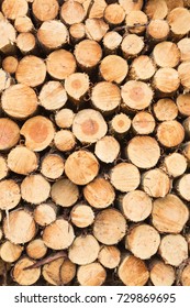 Wide Angle Abstract View Of A Stack Of Cut Down Tree Trunks.