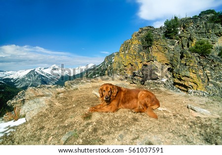 Similar – Image, Stock Photo Majestic Pico Câo Grande rising through the mist