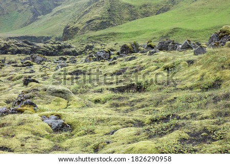 Wide angle landscape of Iceland in Kalfafell region with stones in grass