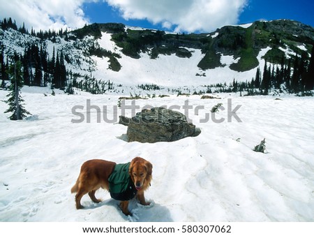 Similar – Image, Stock Photo Majestic Pico Câo Grande rising through the mist