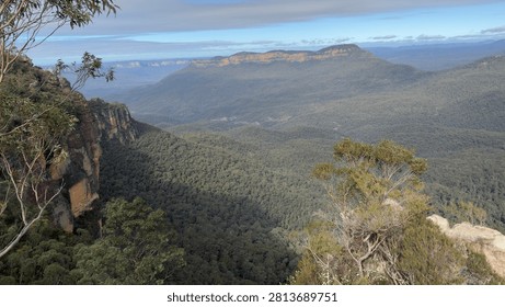 Wide angle landscape shot of a deep forested valley under a soft daylight sky.