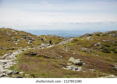 Wide Angle Landscape Shots From A Mountain Hike In North America. Mount Mansfield With An Arctic Tundra Peak, The Highest Mountain In Vermont, In The Spring And Summer On A Beautiful Sunny Day. 