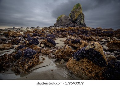 Wide angle of large rocks on a beach in remote Kodiak Island, Alaska