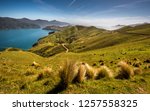 Wide angle panorama photo from French Pass in Marlborough Sounds area. Wild nature landscape panoramic shot of northern part of New Zealand. Beautiful bay and curvy road in meadow with green grass.