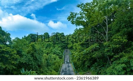 Wide angle picture of the bridge in the town of grande riviere in northern martinique