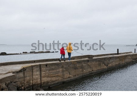 Wide angle rear view shot of stylish young adult couple wearing yellow and red jackets and blue jeans walking with their welsh corgi dog on a old pier against grey blue sky