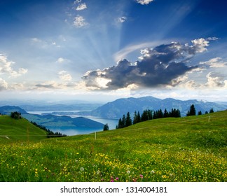 Wide angle shot of alps in Switzerland  in a beautiful light summer with fantastic views and meadow flowers in the foreground and the Lake Lucerne in the background, taken during a mountain hike. - Shutterstock ID 1314004181