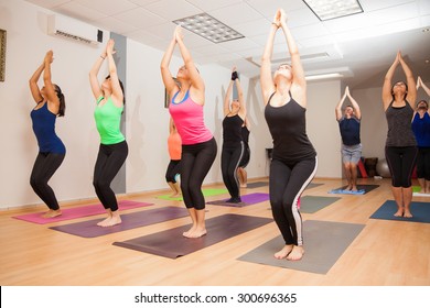 Wide Angle View Of A Big Group Of People Doing A Chair Pose During A Real Yoga Class