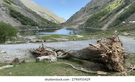 Wide angle view of a fallen tree trunk before a serene alpine lake and mountains.