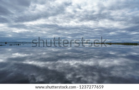 Wide angle view of flooded rice field plantation with cloudscape reflection