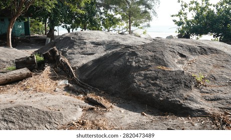 Wide angle view of massive dark granite rock outcrop standing near green coastal trees.