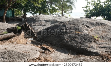 Wide angle view of massive dark granite rock outcrop standing near green coastal trees.
