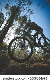 Wide angle view of a mountain biker speeding downhill on a mountain bike track in the woods - Shutterstock ID 1009664698