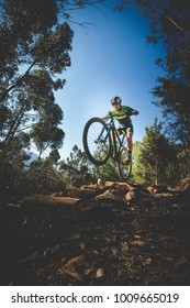 Wide angle view of a mountain biker speeding downhill on a mountain bike track in the woods - Shutterstock ID 1009665019