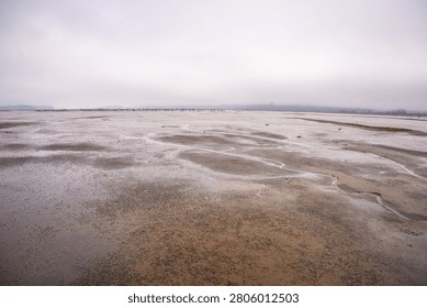 Wide angle view of a mudflat in murky, overcast conditions. An eerie landscape reveals textures and channels etched by tidal movement.
