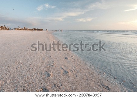 Wide angle view of Pass-s-grille beach in St. Pete Beach Florida looking south. Near sunset with green plants, blue water and white clouds. Imagine de stoc © 