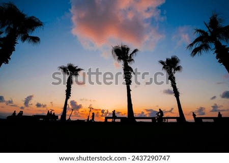 Wide angle view of people silhouettes are walking along the waterfront against the evening sky. Palm trees on the embankment of the resort town after sunset. Summer, nature and tropical concept