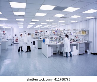 Wide Angle View Of Scientists Working In Laboratory