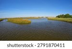 A wide angle view of tranquil river channels curving through green and golden marsh grass islands under a bright blue sky on a sunny day.