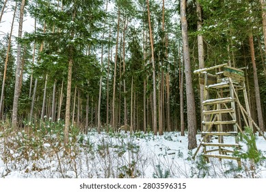 Wide angle view of a winter forest in Bavaria, Germany, with tall pine and spruce trees and a rustic wooden hunting tower or high seat on the right side. The ground and tree branches are covered with fresh snow, creating a quiet, remote woodland scene in natural daylight.