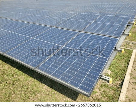 Wide array of blue solar panels installed on the ground, capturing sunlight to generate clean, renewable energy in an open outdoor setting