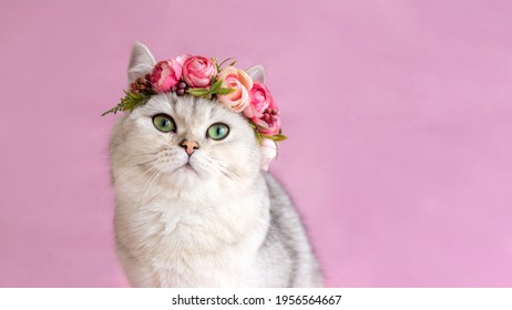 2,170 Cat flower crown Images, Stock Photos & Vectors | Shutterstock