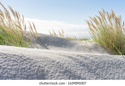 Wide beach and dune grass at the North Sea