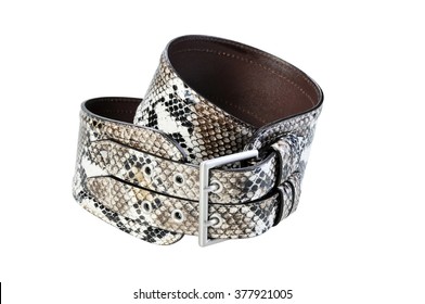 1,286 Snake belt Images, Stock Photos & Vectors | Shutterstock