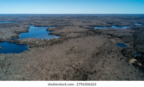 A wide drone shot capturing a massive network of blue lakes and small kettle ponds cutting through an endless rolling landscape of bare deciduous trees under a clear sunny spring sky in cottage country.