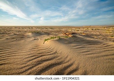 Wide Empty Sand Beach And Beautiful Cloudy Sky. Tranquil Scenic Landscape, Copy Space