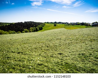 Wide farmland with cut grass as feed for beef cattle. Beautiful field of farmers in hilly landscape with village. The sun shines in summer. The wide open agrar fields serve as cow pasture and paddock.