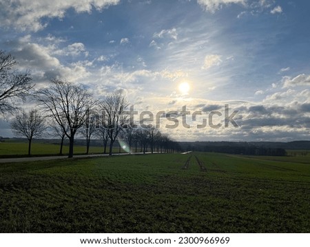 A wide field with trees and a road under tha cloudy and sunny sky
