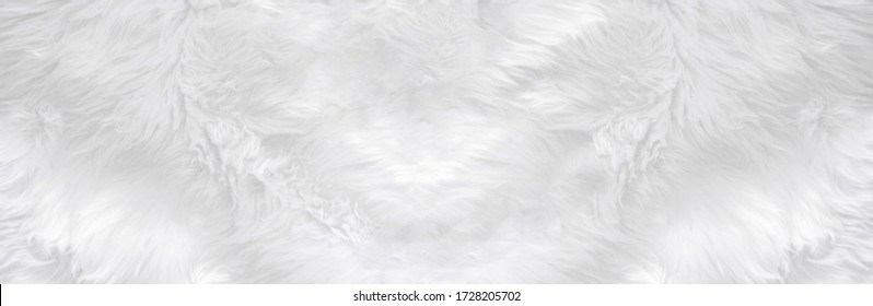 Wide furry animal white wool sheep background in table top view light. Grey fluffy long hair seamless carpet plush fabric texture. Lamp fur coat skin, ovine rug mat material, woolly textile concept.