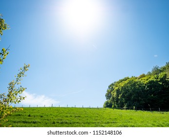 Wide grassland with green meadow with yellow and white wildflowers and trees in hilly landscape. The sun is shining in the spring. The wide open agricultural fields serve as cow pasture and paddock.