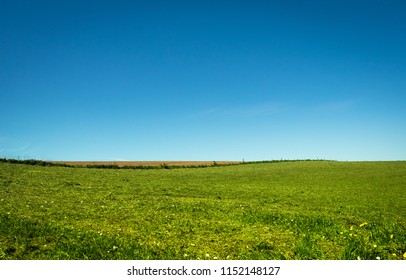 Wide grassland with green meadow with yellow and white wildflowers in hilly landscape. The sun is shining in the spring. The wide open agricultural fields serve as cow pasture and paddock.