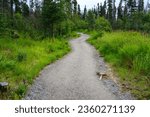 Wide gravel path of the Brooks Falls Trail, Katmai National Park, Alaska
