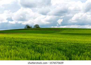 Wide Green Field In Switzerland