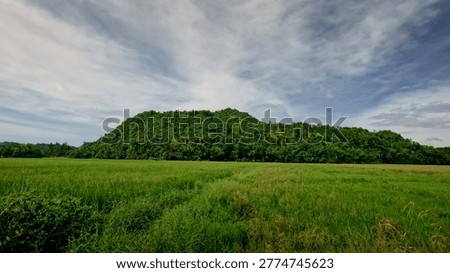 Wide green fields with a backdrop of a hill under a cloudy sky. Sipalay, Philippines