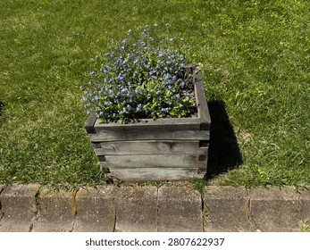 A wide high-angle view of a rustic square wooden planter box filled with blooming blue Myosotis (forget-me-not) flowers. Beautiful ornamental garden bed set on a lush green grass lawn in Nezahat Gokyigit Botanical Garden, copy space.