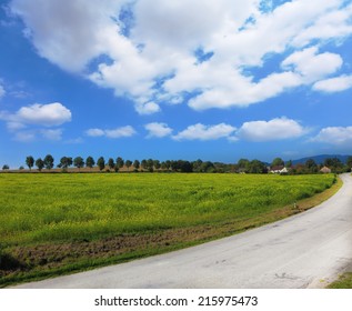 Wide highway runs between the fields and pastures 
