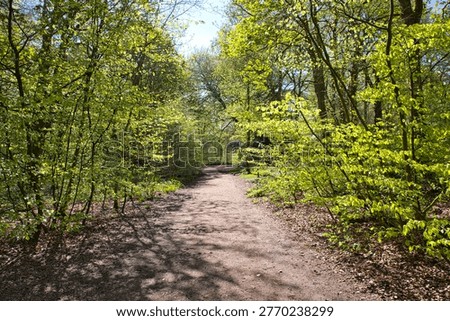 A wide, inviting walking trail winds through a lush woodland in Wigan. Bright spring sunlight filters through the vibrant green leaves of the forest canopy, creating a dappled light effect on the dirt path. The scene captures the essence of a peaceful nature walk in the English countryside.