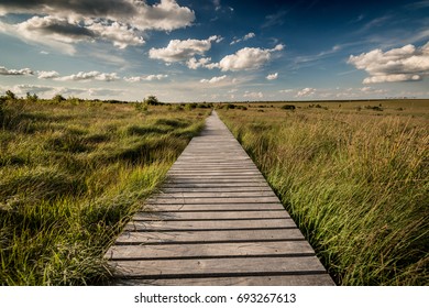 Wide landscape with path